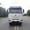 HOWO 12 Wheelers 40 CBM Bulk Feed Truck (3)